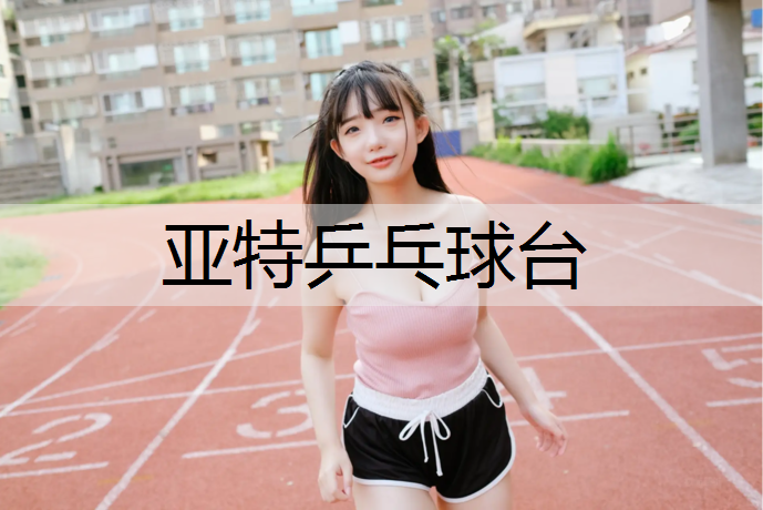 亚特乒乓球台