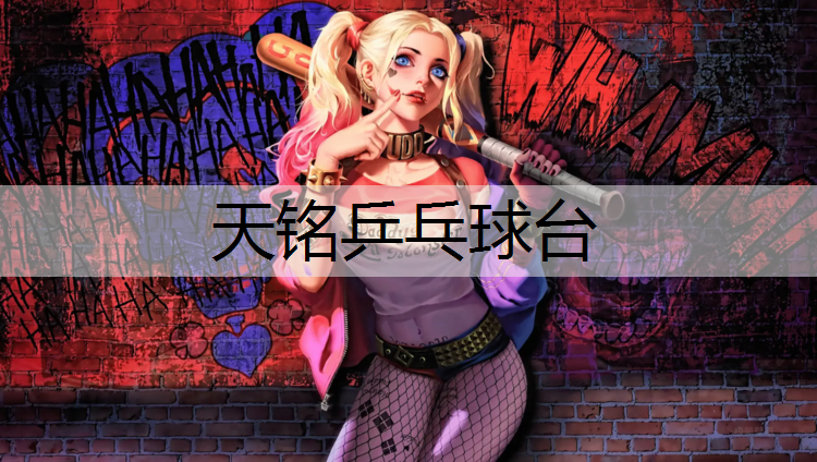 天铭乒乓球台