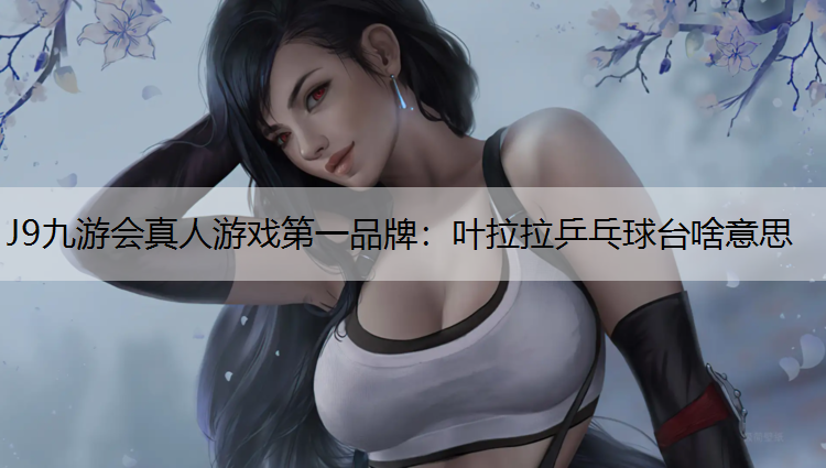 J9九游会真人游戏第一品牌：叶拉拉乒乓球台啥意思