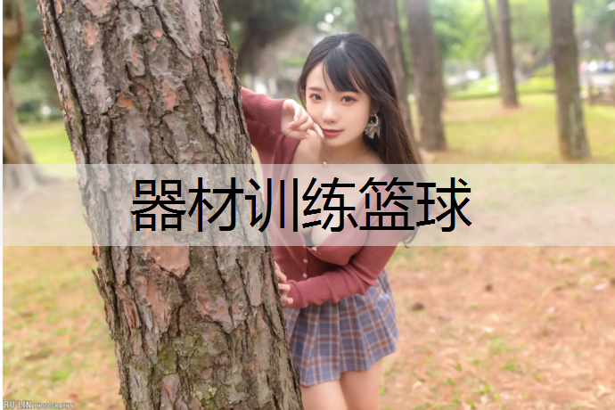 器材训练篮球