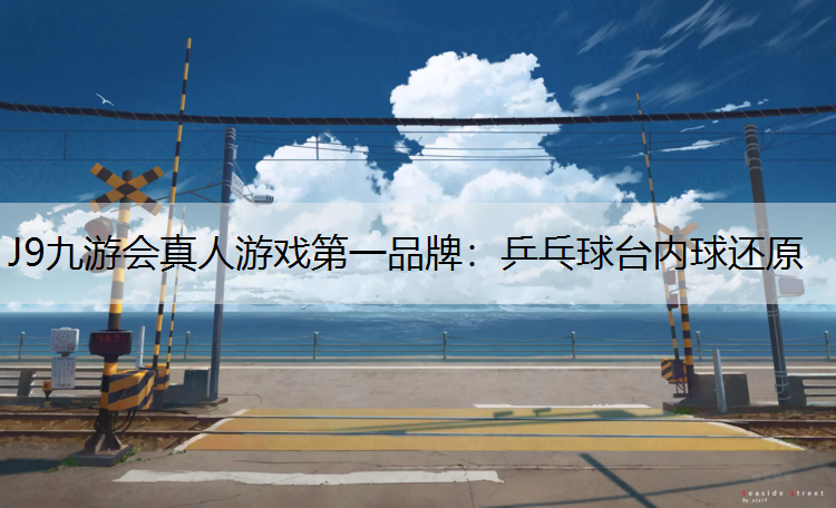 乒乓球台内球还原