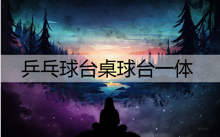 乒乓球台桌球台一体