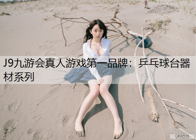 乒乓球台器材系列
