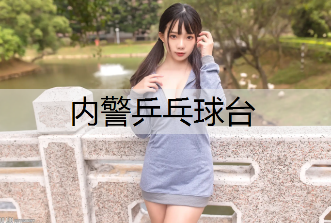 内警乒乓球台
