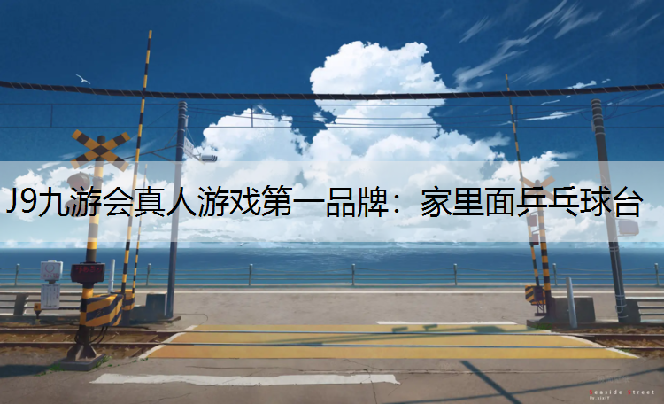 家里面乒乓球台