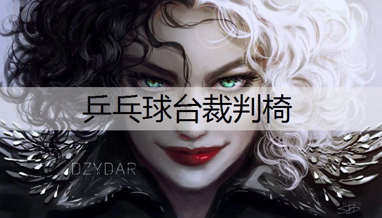乒乓球台裁判椅 乒乓球台裁判椅